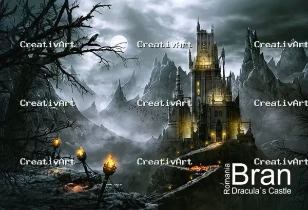 Selecție CreativArt de fotografii magnetice pentru parteneri B2B